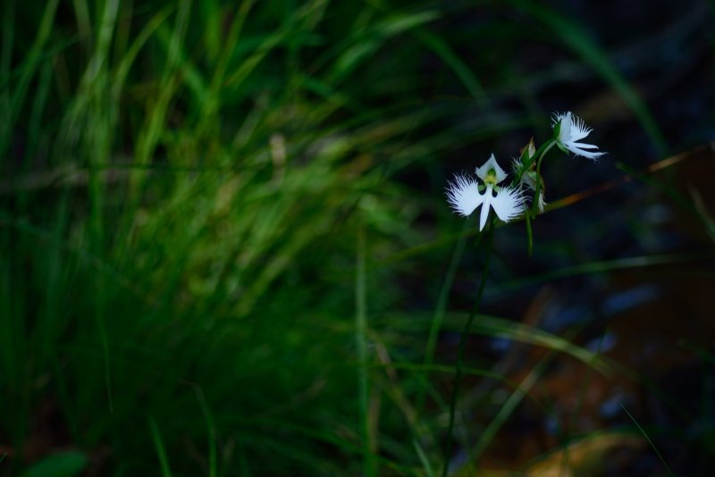 20130812_003w.jpg
