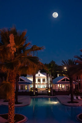 Moonlit Pool