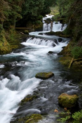 McKenzie River