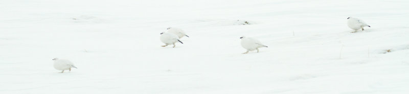 low res _MG_8612.jpg