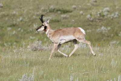 low res _MG_3464.jpg