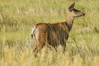 low res _MG_3515.jpg