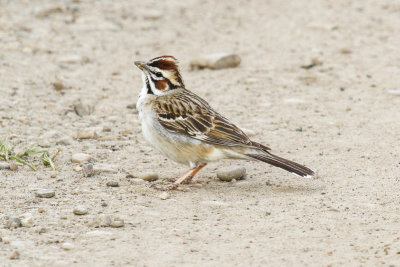 low res _MG_3568.jpg