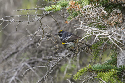 low res _MG_4543.jpg