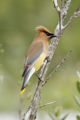 low res _MG_4566.jpg