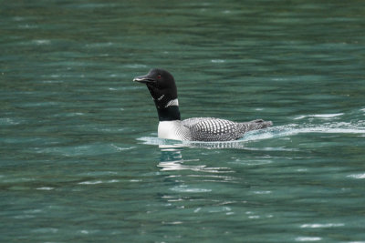 low res _MG_4909.jpg