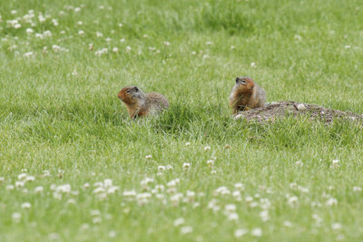low res _MG_4928.jpg