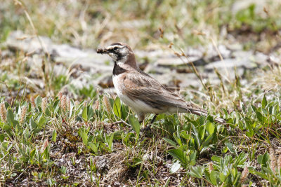 low res _MG_5051.jpg