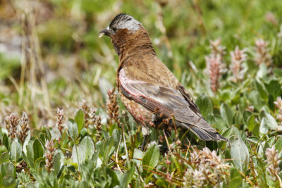 low res _MG_5083.jpg