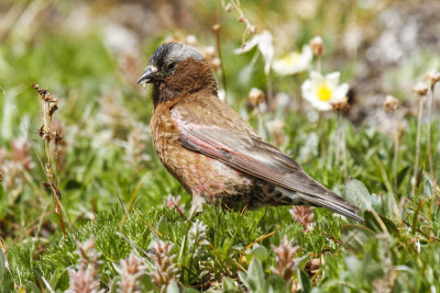 low res _MG_5091.jpg
