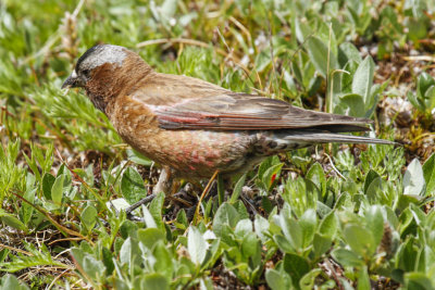 low res _MG_5094.jpg