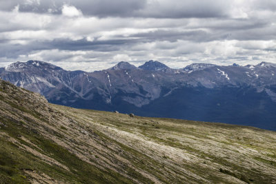low res _MG_5156.jpg