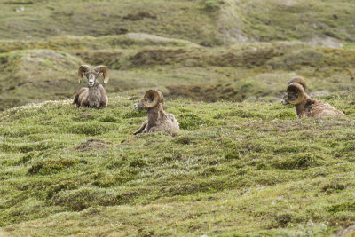low res _MG_5582.jpg