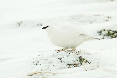 low res _MG_8802.jpg