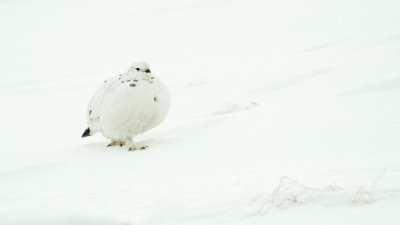 low res _MG_8806.jpg