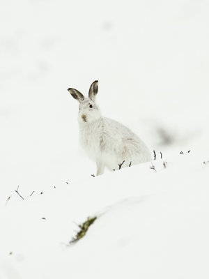 low res _MG_8487.jpg
