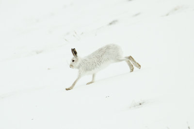 low res _MG_8516.jpg