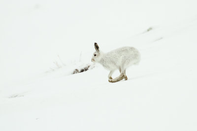 low res _MG_8521.jpg