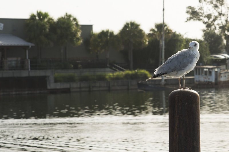 Florida 2013