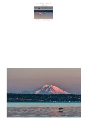 Mt Rainier at Sunset.jpg