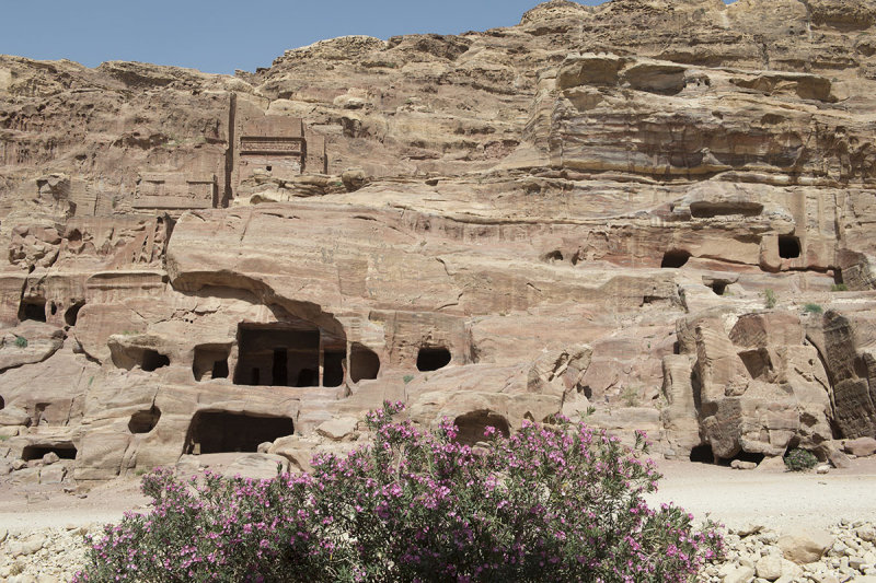 Jordan Petra 2013 1671.jpg