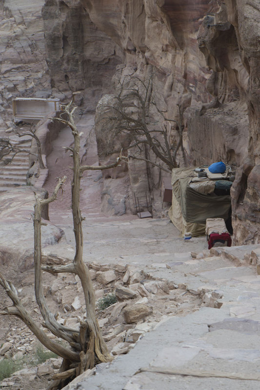 Jordan Petra 2013 2215.jpg