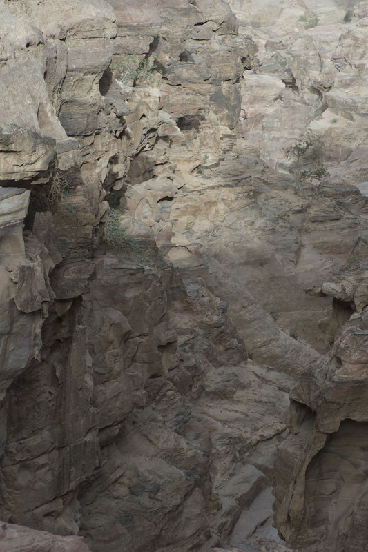Jordan Petra 2013 2216.jpg