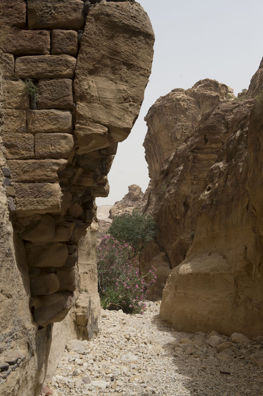 Jordan Petra 2013 2137 Wadi Muthlim.jpg