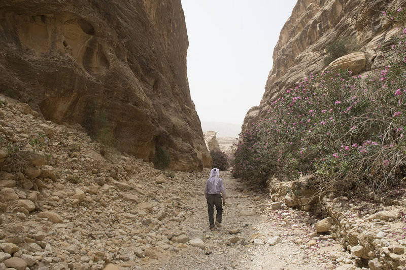 Jordan Petra 2013 2150 Wadi Muthlim.jpg