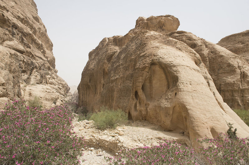 Jordan Petra 2013 2153 Wadi Muthlim.jpg