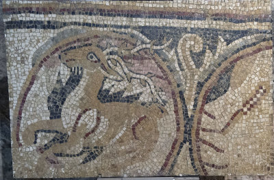 Jordan Amman 2013 0157.jpg