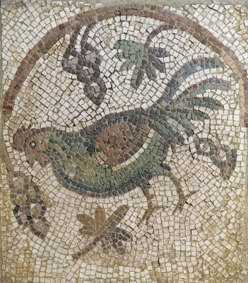 Jordan Amman 2013 0166.jpg