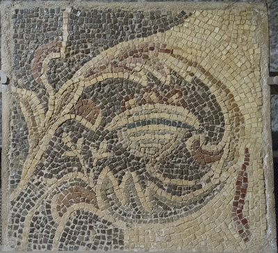 Jordan Amman 2013 0174.jpg