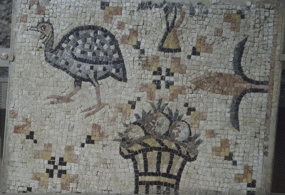 Jordan Amman 2013 0178.jpg