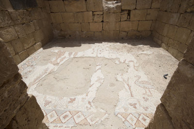 Jordan Qasr el-Hallabat 2013 0611.jpg
