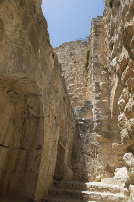 Jordan Ajlun Castle 2013 0941.jpg