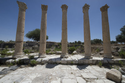 Gadara Sanctuary and propylon  1250.jpg