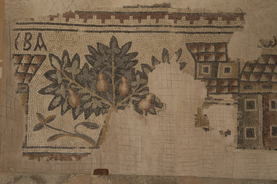 Madaba Ma’in mosaic 1416.jpg