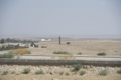 Jordan Umm er-Rasas 2013 2715.jpg