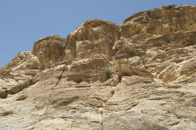 Jordan Petra 2013 1594 Bab as-Siq area.jpg