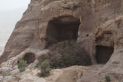 Jordan Petra 2013 2102.jpg