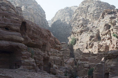 Jordan Petra 2013 2176.jpg