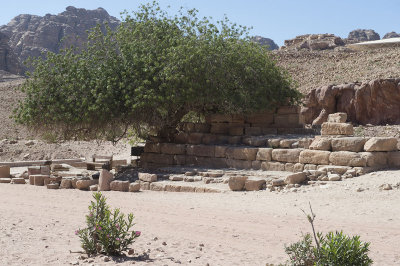 Jordan Petra 2013 2399 Nymphaeum.jpg