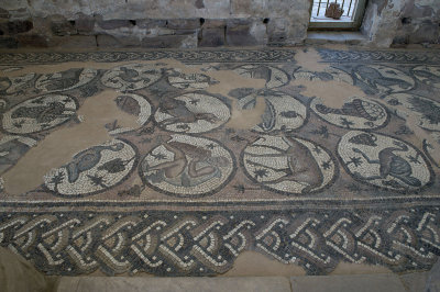 Jordan Petra 2013 2279b Byzantine Church mosaic.jpg