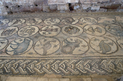 Jordan Petra 2013 2281b Byzantine Church mosaic.jpg