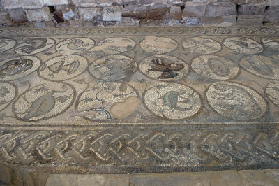 Jordan Petra 2013 2282b Byzantine Church mosaic.jpg