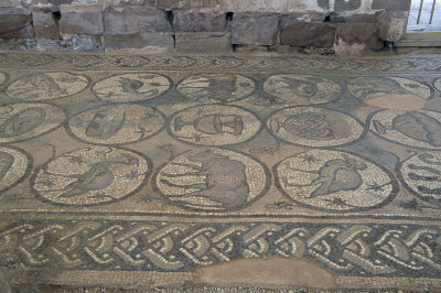 Jordan Petra 2013 2283b Byzantine Church mosaic.jpg