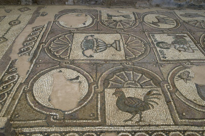 Jordan Petra 2013 2285b Byzantine Church mosaic.jpg