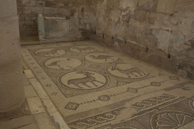Jordan Petra 2013 2287 Byzantine Church mosaic.jpg
