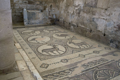 Jordan Petra 2013 2287b Byzantine Church mosaic.jpg